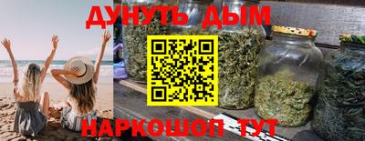 сатива Кунгур