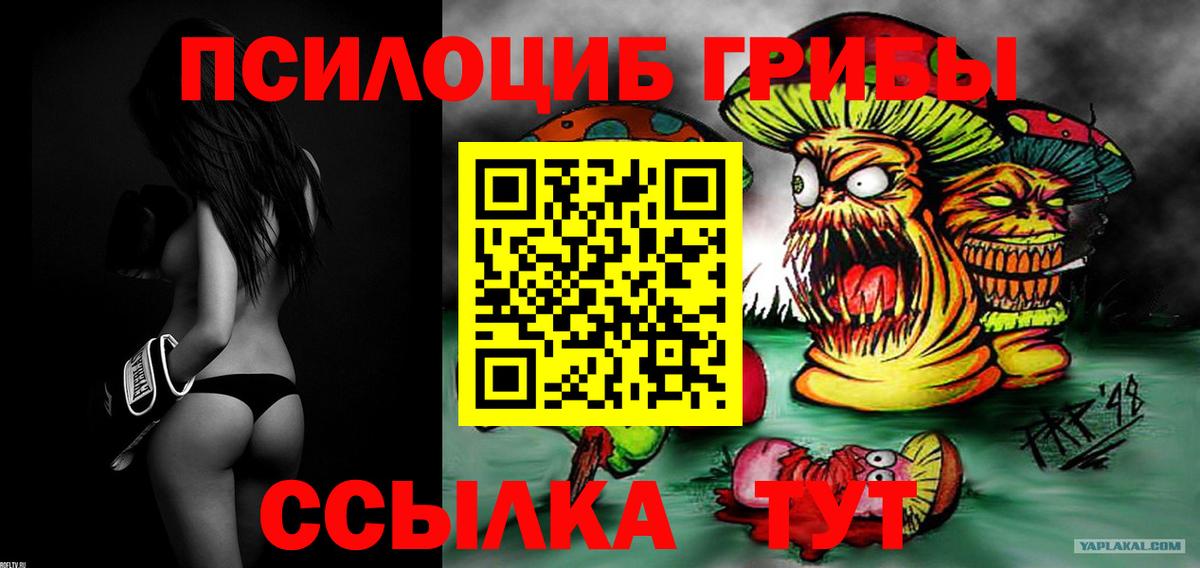 цены наркотик  Псилоцибиновые грибы Cubensis  Вход с VPN  Коломна 